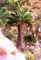 Thumbnail for version as of 09:24, 5 August 2024
