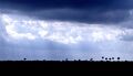 Thumbnail for version as of 12:51, 9 August 2024