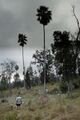 Thumbnail for version as of 12:43, 9 August 2024
