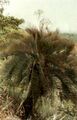 Thumbnail for version as of 09:16, 9 June 2024