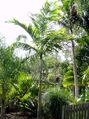 Thumbnail for version as of 13:02, 9 August 2024